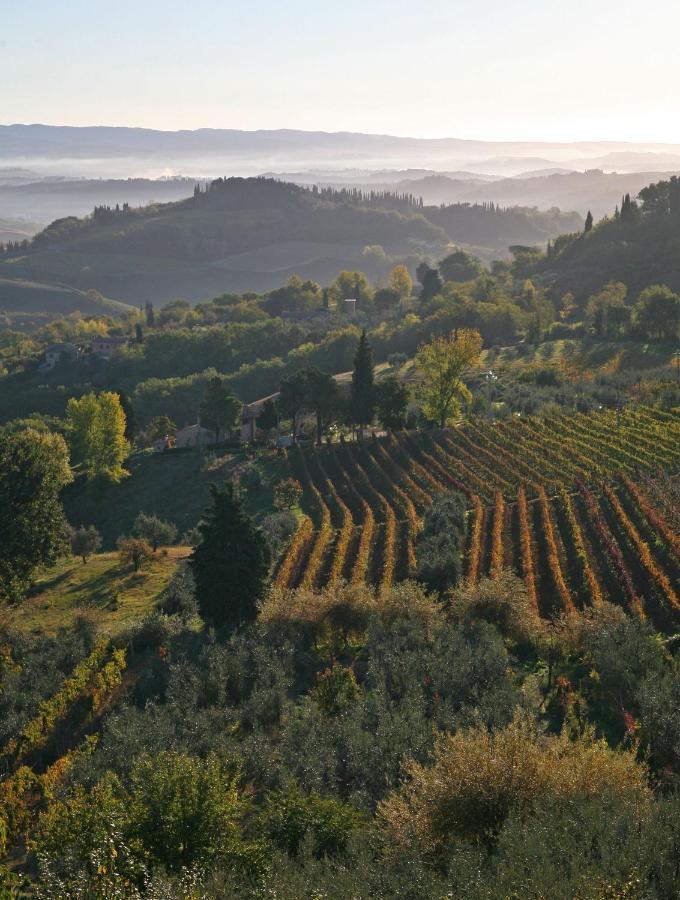 Agriturismo & Winery Il Bacio Tavarnelle Val di Pesa Buitenkant foto
