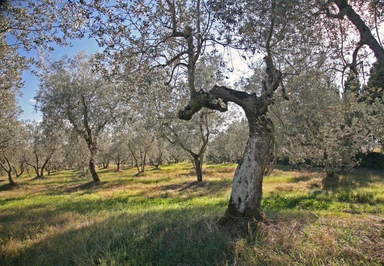 Agriturismo & Winery Il Bacio Tavarnelle Val di Pesa Buitenkant foto