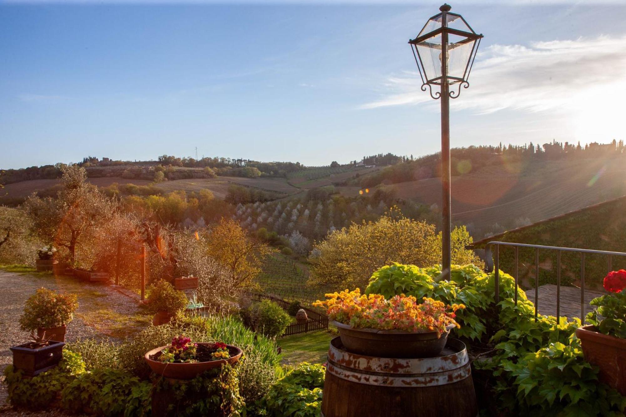 Agriturismo & Winery Il Bacio Tavarnelle Val di Pesa Buitenkant foto