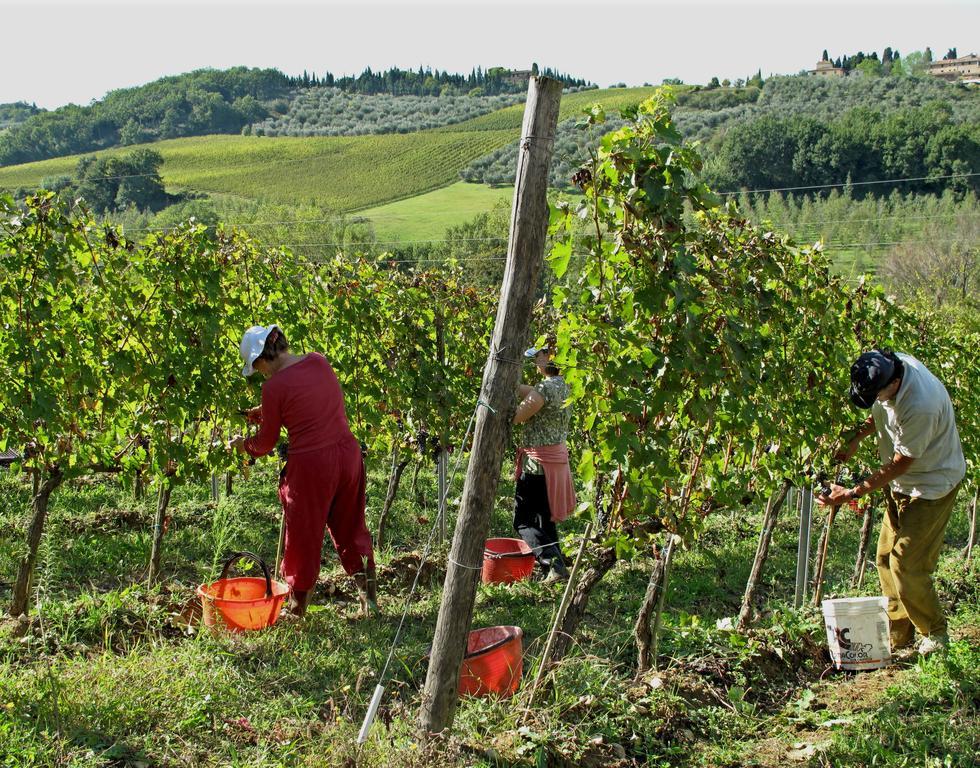 Agriturismo & Winery Il Bacio Villa Tavarnelle Val di Pesa Buitenkant foto