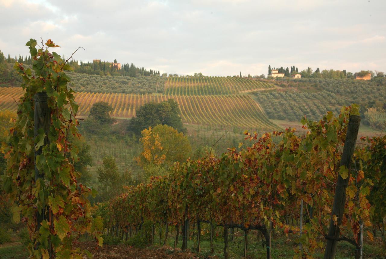 Agriturismo & Winery Il Bacio Villa Tavarnelle Val di Pesa Buitenkant foto